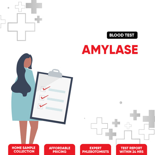 Amylase Test
